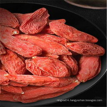 Goji fruit chinese dried fruit berry goji food ingredients used for cake